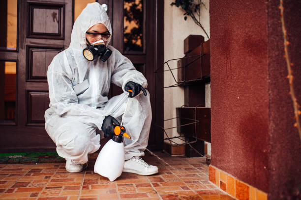 Reliable Cockroach Control contractor in Union Point, GA by Nex Pest Control